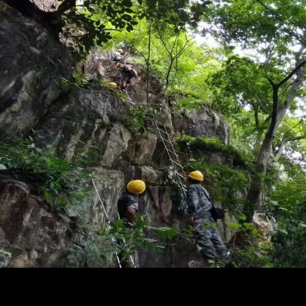 田园洞人遗址 - 图片5