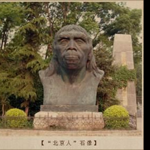 田园洞人遗址 - 图片9