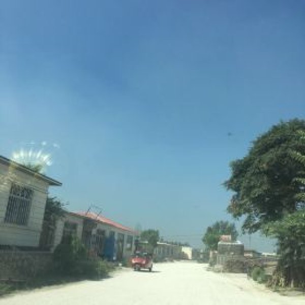 金牛山遗址 - 图片9