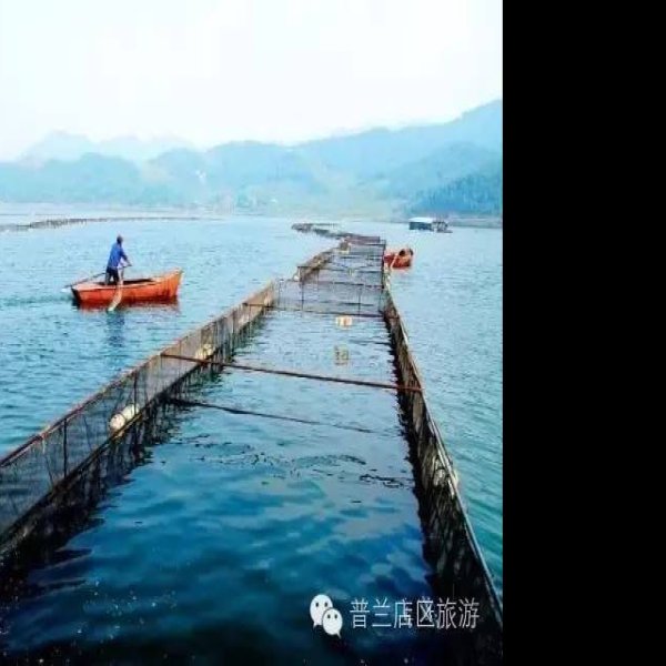 辽东半岛石棚 - 图片4
