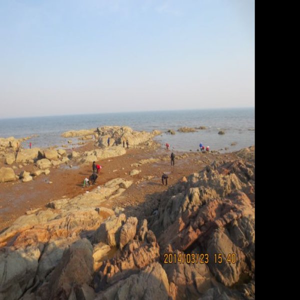 兴城海滨 - 图片9