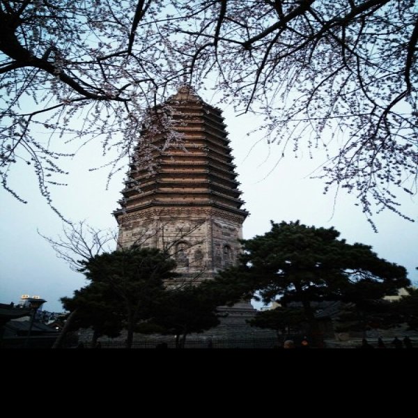 锦州古塔 - 图片5