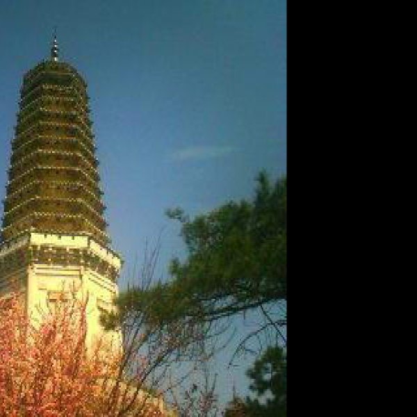 铁岭白塔 - 图片7