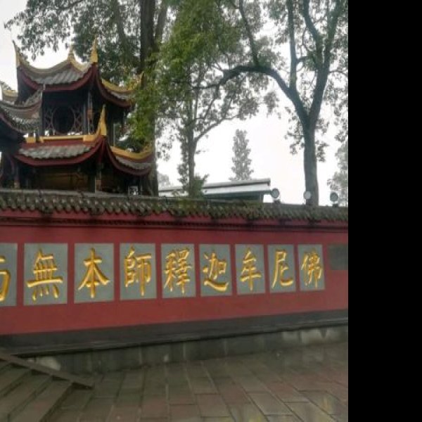 峨眉山报国寺 - 图片6
