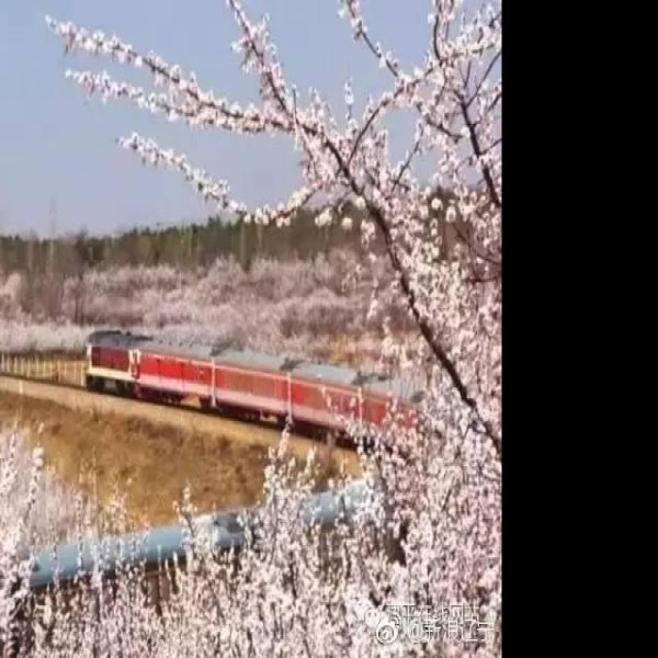 建平牛河梁 - 图片6