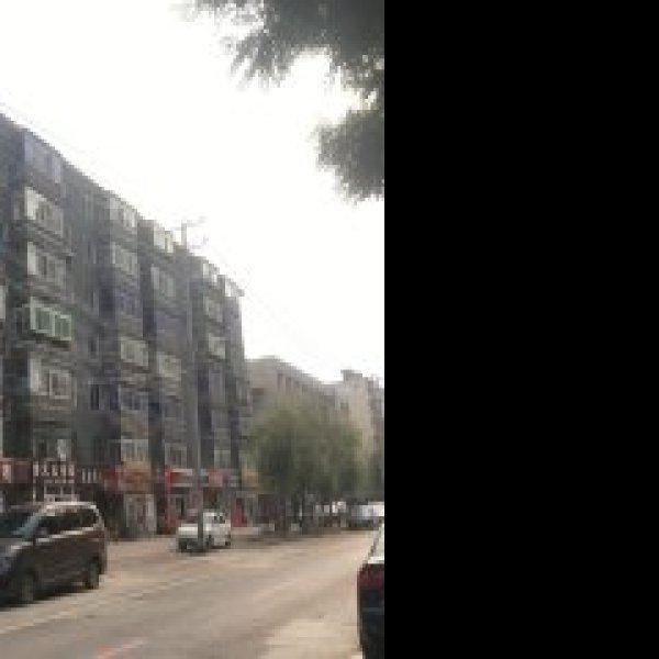 沈阳新乐 - 图片1