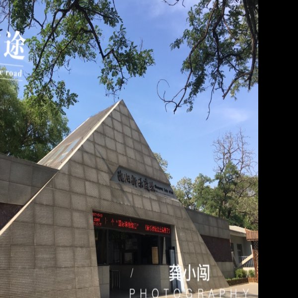 沈阳新乐 - 图片8