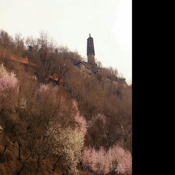 抚顺高尔山 - 图片6