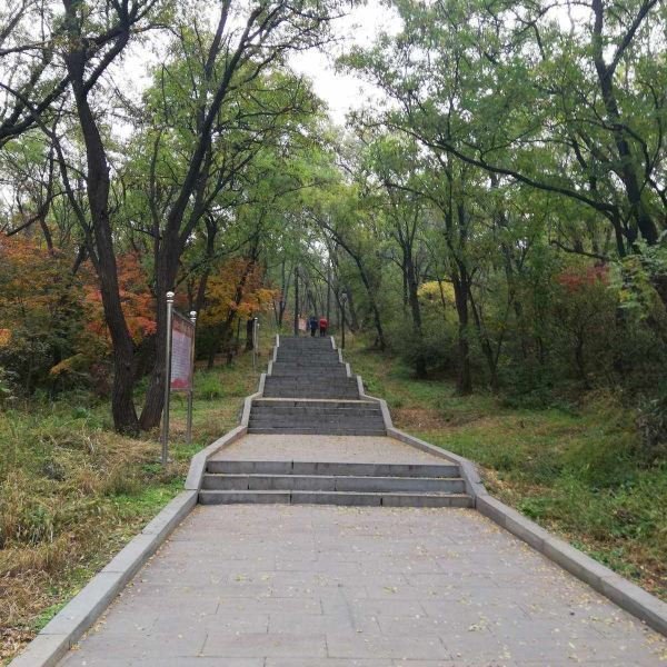 铁岭龙首山 - 图片3