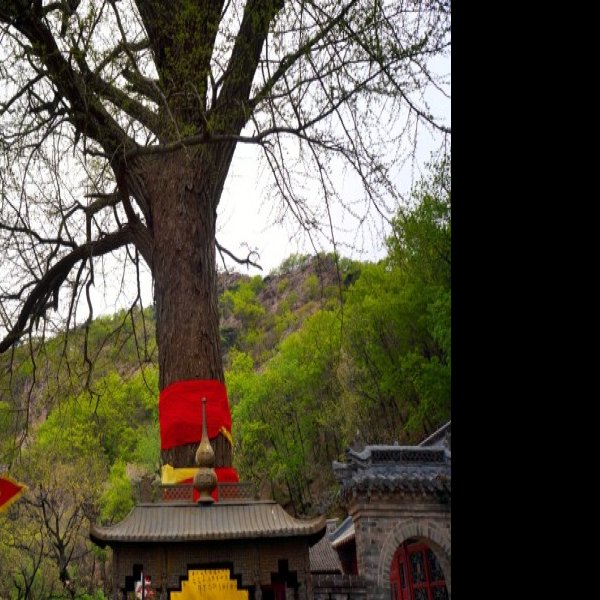 丹东大孤山 - 图片8