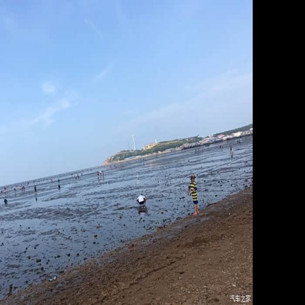营口仙人岛 - 图片7