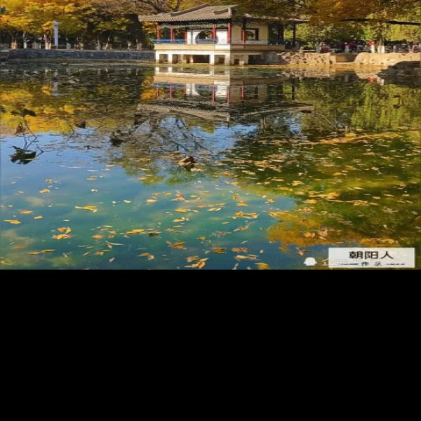 朝阳人民公园 - 图片9