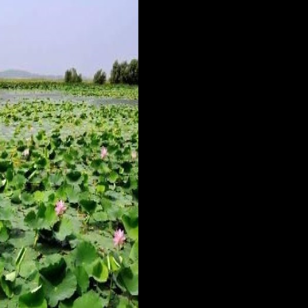 铁岭莲花湖 - 图片1