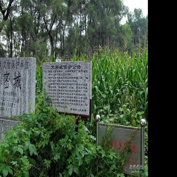 苏密城遗址 - 图片2
