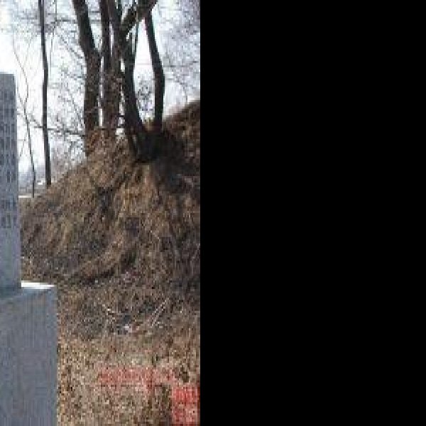 苏密城遗址 - 图片8