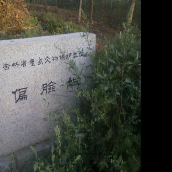 偏脸城遗址 - 图片9