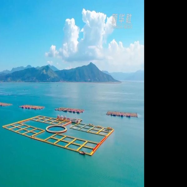 向海 - 图片3