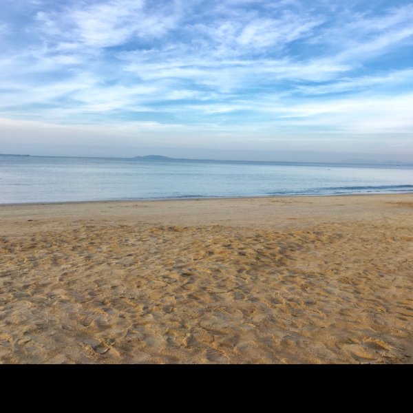 向海 - 图片7