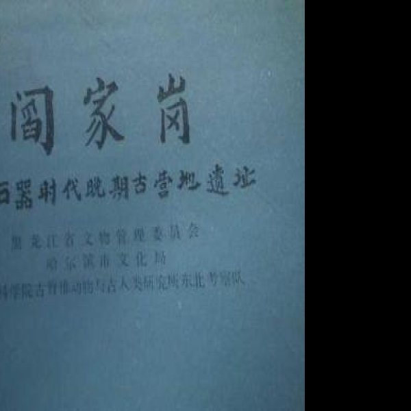 阎家岗旧石器时代遗址 - 图片9