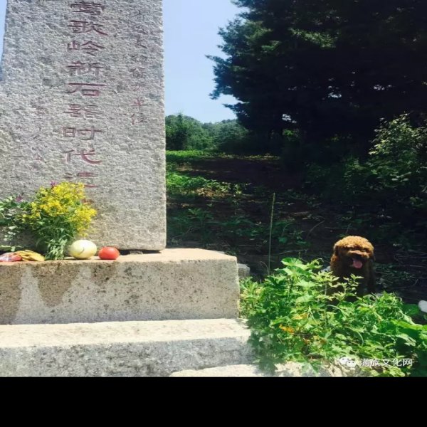 莺歌岭遗址 - 图片4