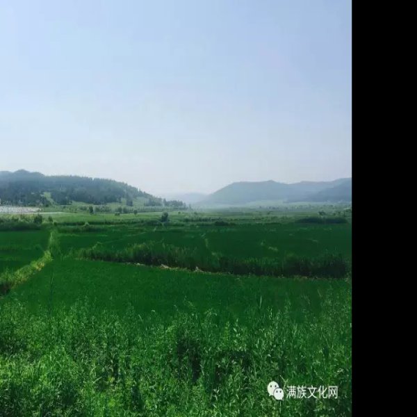 莺歌岭遗址 - 图片5