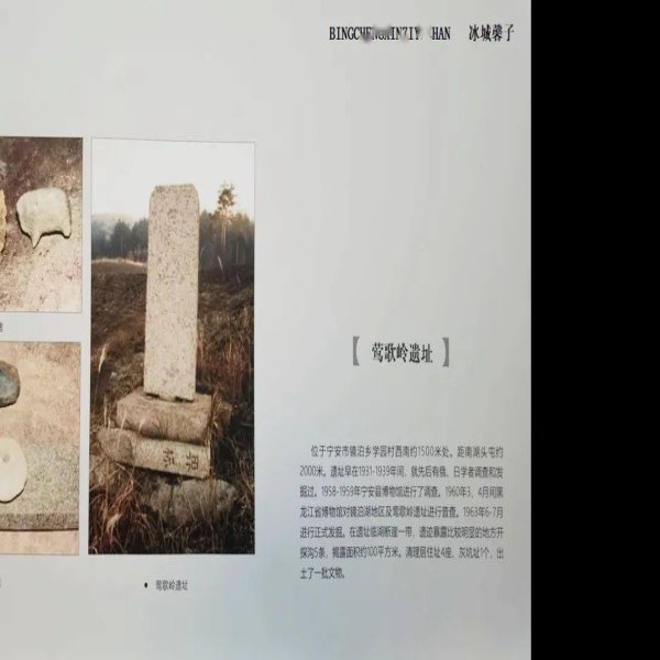 莺歌岭遗址 - 图片9