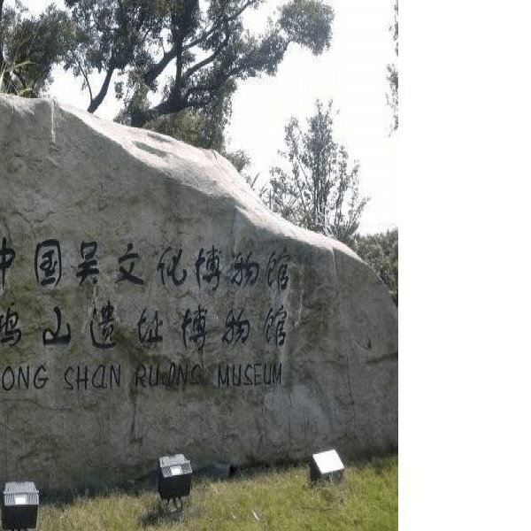 宜兴骆驼墩遗址 - 图片10
