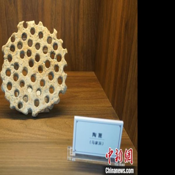 宜兴骆驼墩遗址 - 图片8