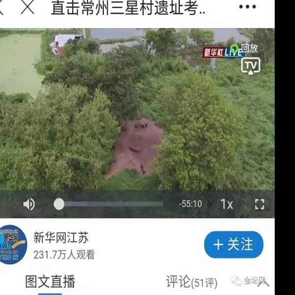 金坛三星村遗址 - 图片6