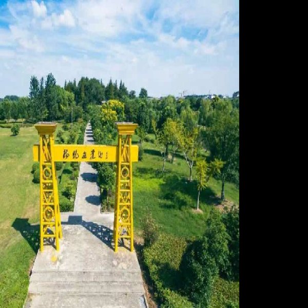 高邮龙虬庄遗址 - 图片5