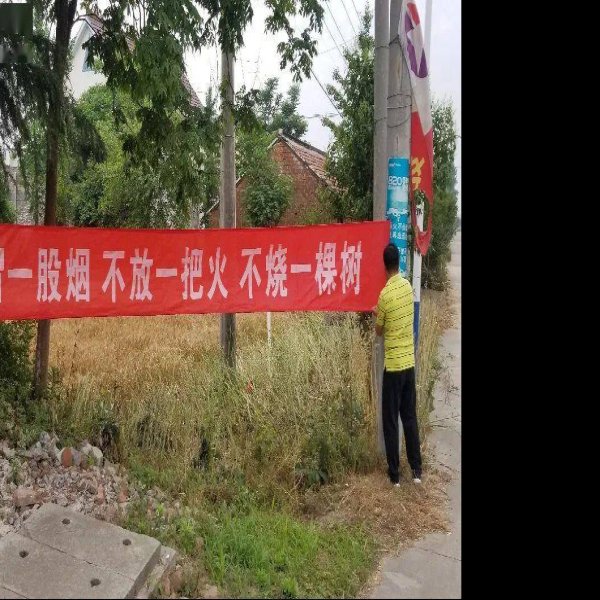 如皋东陈遗址 - 图片4