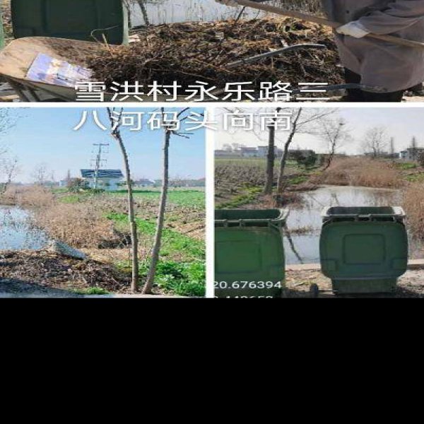 如皋东陈遗址 - 图片6
