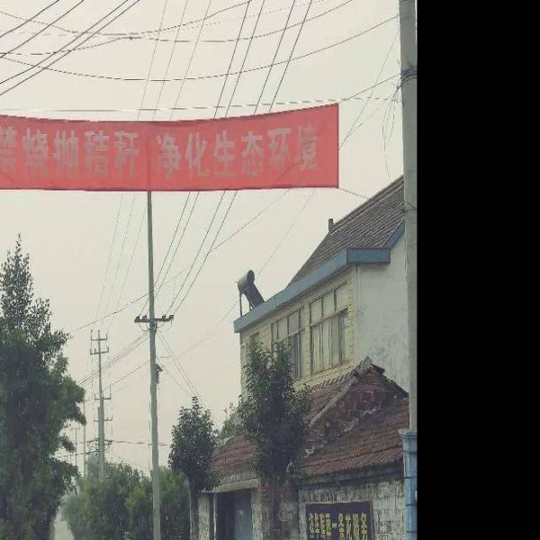 如皋东陈遗址 - 图片7
