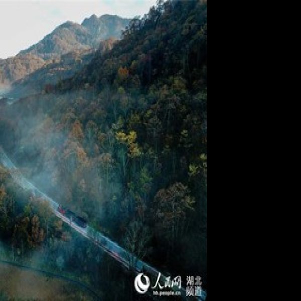 湖北神农架 - 图片1