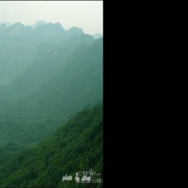 湖北神农架 - 图片2