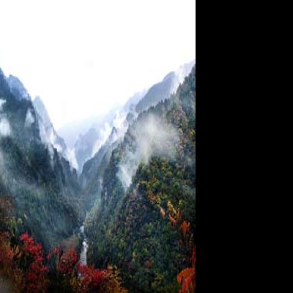 湖北神农架 - 图片3