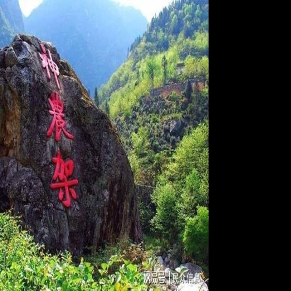 湖北神农架 - 图片6