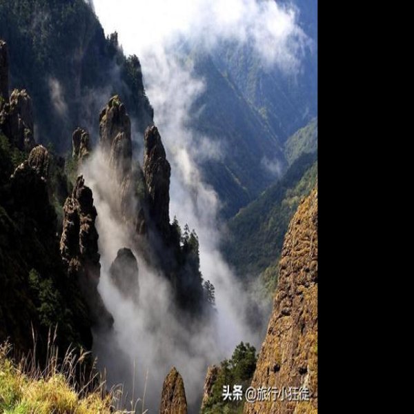 湖北神农架 - 图片8