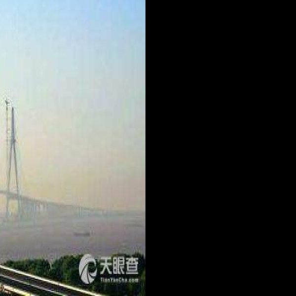 苏通大桥 - 图片10