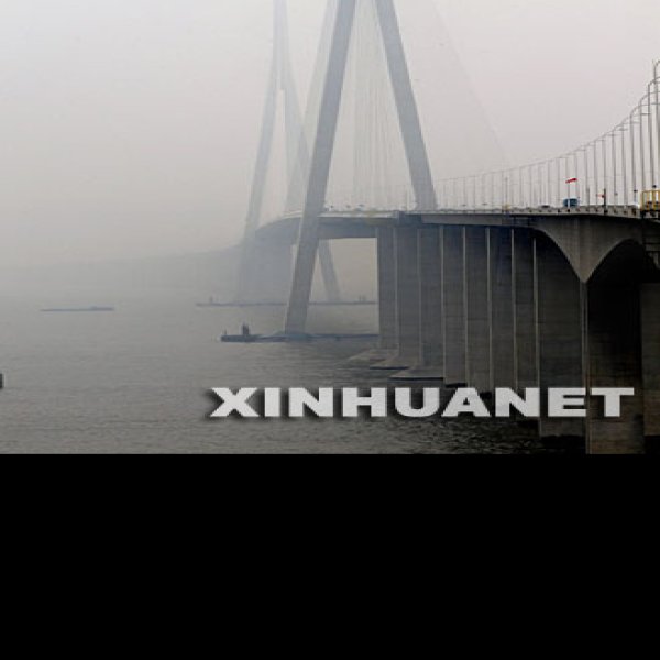 苏通大桥 - 图片5
