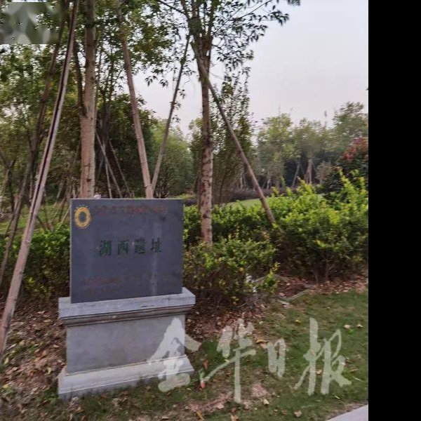 上山遗址 - 图片8