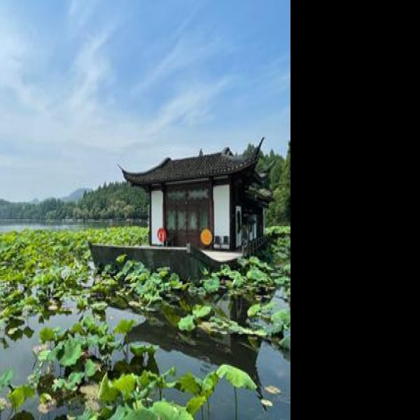 曲院风荷 - 图片4
