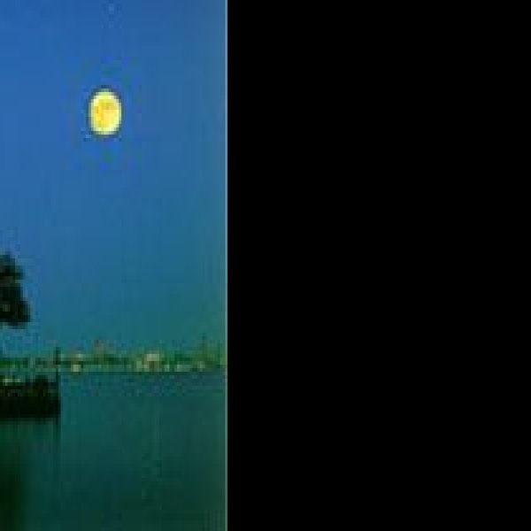 平湖秋月 - 图片1