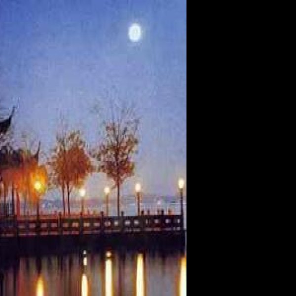 平湖秋月 - 图片9