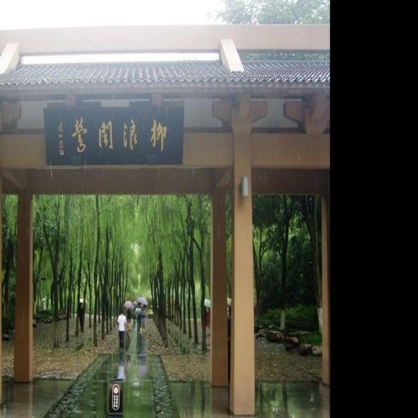 柳浪闻莺 - 图片6