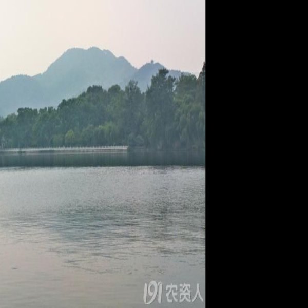 苏堤春晓 - 图片10