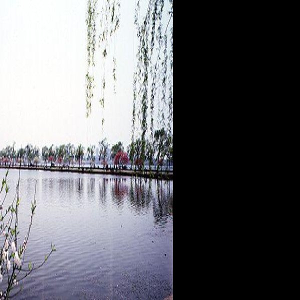 苏堤春晓 - 图片2