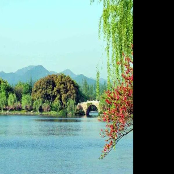 苏堤春晓 - 图片4