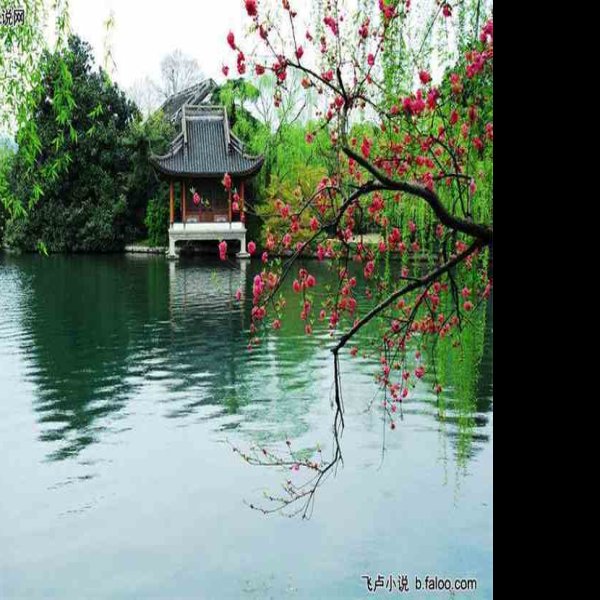 苏堤春晓 - 图片8
