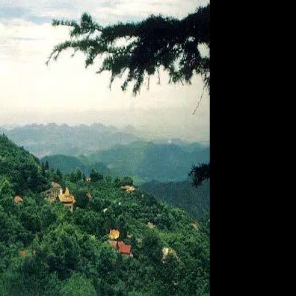 莫干山 - 图片7